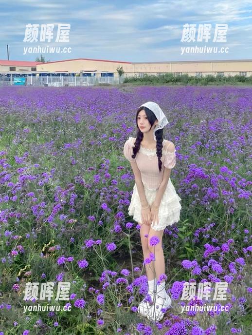 吃瓜911 说走就走,“吃瓜911”导航带你进入毫不尴尬的网圈聊天!