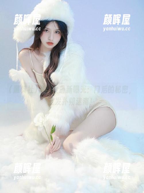 黑料社 黑料社最新曝光:门后的秘密,愈发扑朔迷离!